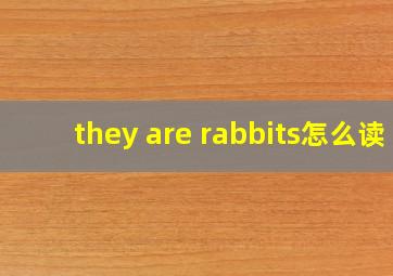 they are rabbits怎么读